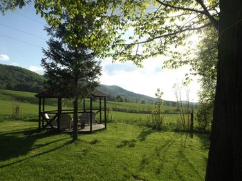 Scenic view of grassy field against sky