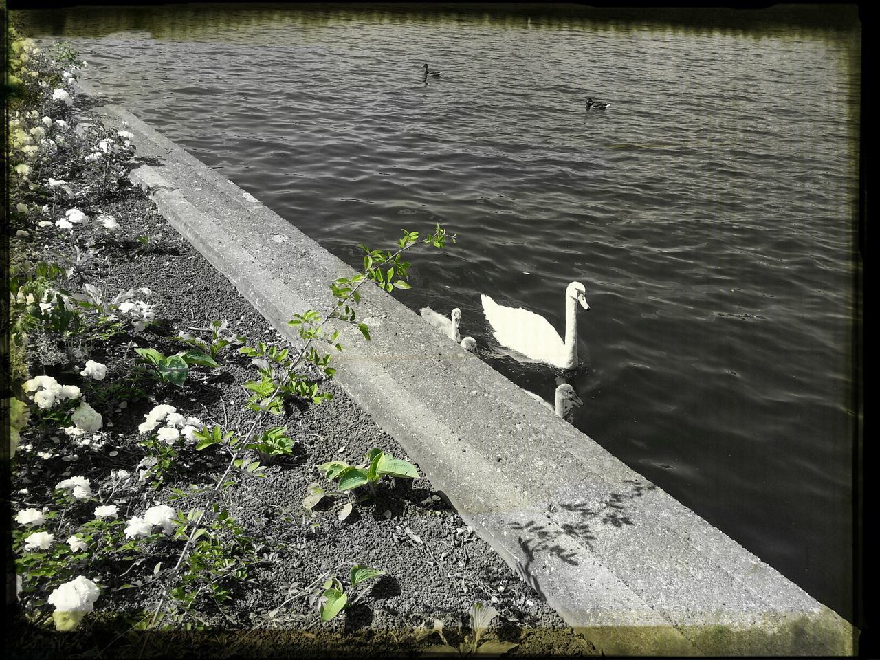 Hafen Treptower Park