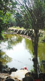 Bridge over river