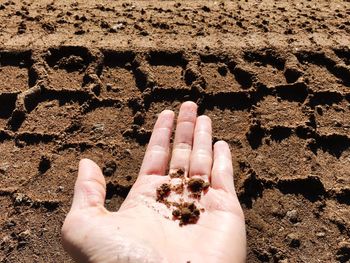 Close-up of hand on sand