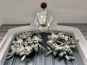 Close-up of potted plant on white wall