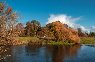 Scenic view of lake against sky during autumn