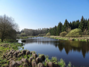 Scenic view of lake by trees against clear sky