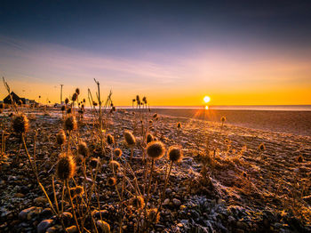 Scenic view of sea against sky during sunrise