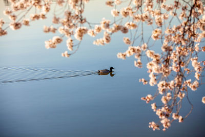 Low angle view of water