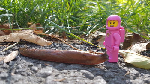 Close-up of toy on field