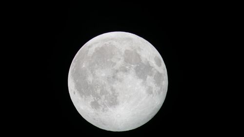 Close-up of moon against clear sky at night