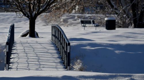 Fresh snow in the town park