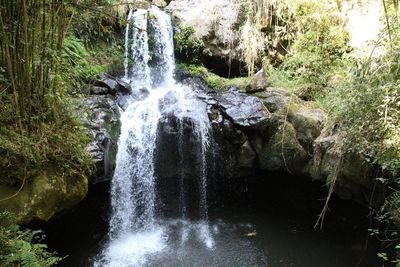 Scenic view of waterfall in forest