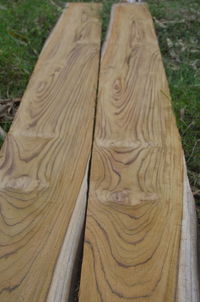 Close-up of tree trunk on field