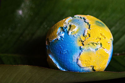 Close-up of globe
