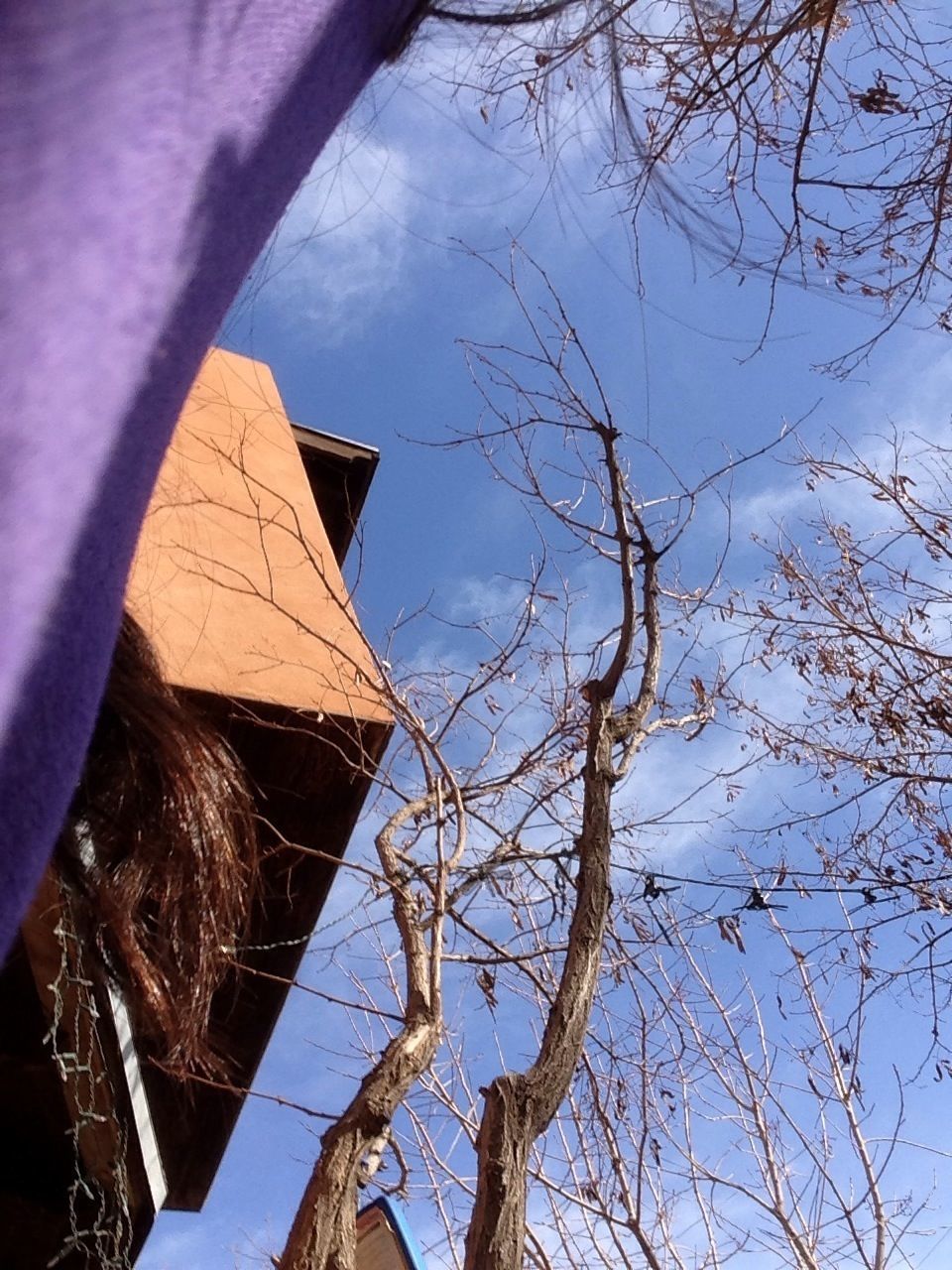 sky, built structure, architecture, low angle view, bare tree, branch, building exterior, tree, part of, day, outdoors, nature, cropped, cloud, cloud - sky, blue, house, no people, close-up, autumn