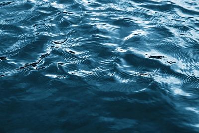 High angle view of swimming in sea