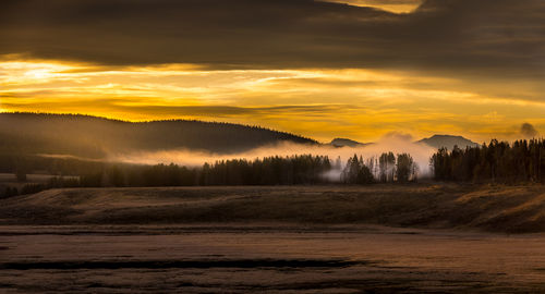 Panoramic view, geyser vapor rising from a forest, yellowstone national park usa