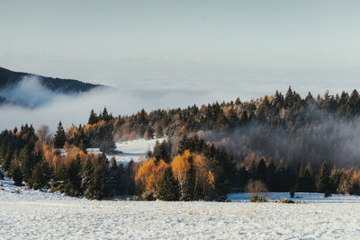 Scenic view of snow covered field against sky