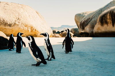 People on beach against clear sky