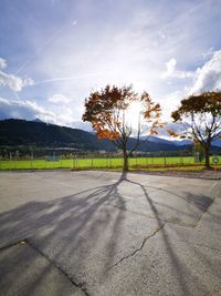 Road by trees on field against sky