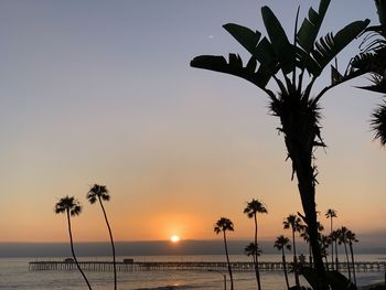 Silhouette palm trees on beach against sky during sunset