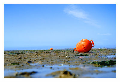 Scenic view of sea against blue sky