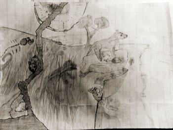 sketch