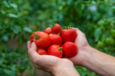 A male farmer