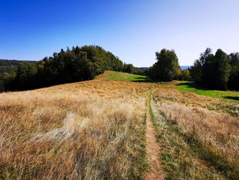 Scenic view of landscape against clear blue sky