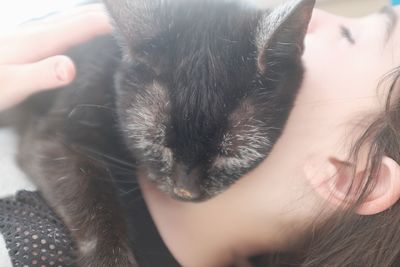 Close-up of hand holding cat