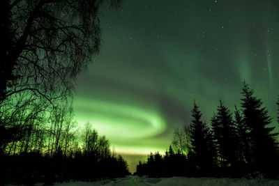 Scenic view of trees against sky at night