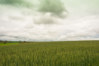 Scenic view of field against cloudy sky