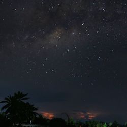 night