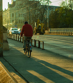 Rear view of man riding bicycle on street