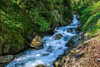 Stream flowing through rocks in forest