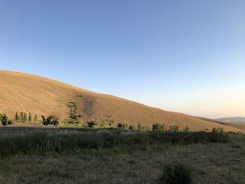 Scenic view of landscape against clear sky