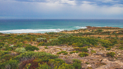 Scenic view of sea against sky