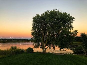 Trees on field against sky during sunset