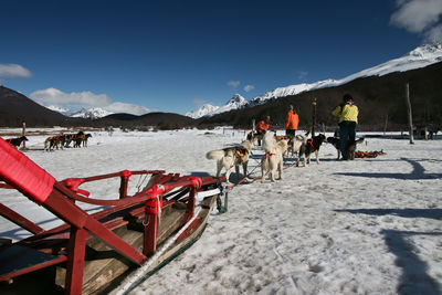 People standing by sled dogs on snow covered landscape during winter