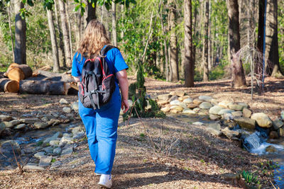 Rear view of people walking in forest