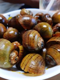 High angle view of shells