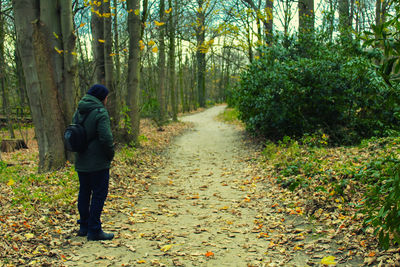 Footpath amidst trees in forest