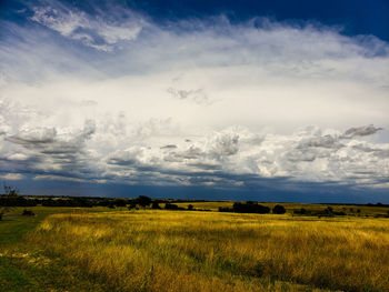 Scenic view of field against sky