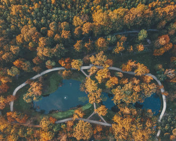 High angle view of trees by lake in forest during autumn