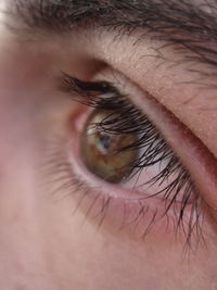 Extreme close-up of human eye