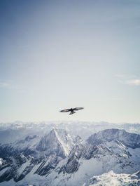 Bird flying over snowcapped mountains against sky