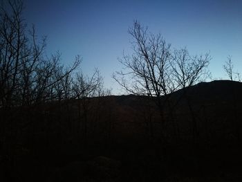 Low angle view of silhouette bare trees against clear sky