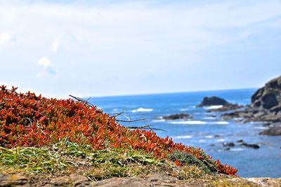 Scenic view of sea against sky