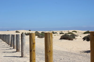 Wooden posts in row at beach against clear sky