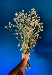 Close-up of hand holding plant against blue sky