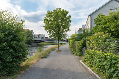 Footpath amidst trees against sky