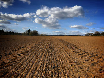 Scenic view of field against sky