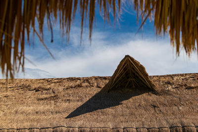 Panoramic view of trees on land against sky